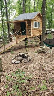 Radiant Forest Vacation Rental Haven Near Piney River, Tennessee - 3