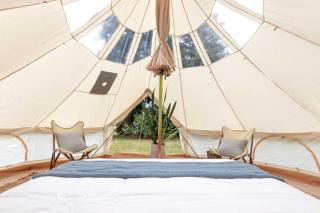 Celestial Glamping Bell Tent Oasis Near Sinking Creek, Missouri - 9