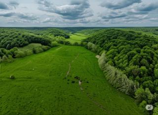 Celestial Glamping Bell Tent Oasis Near Sinking Creek, Missouri - 5
