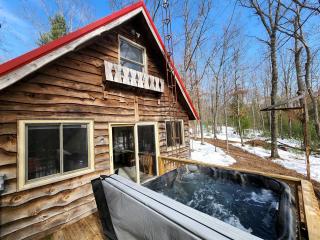 Secluded Luxury Cabin with Hot Tub on 10 Private Acres near Trails in Reed City, Michigan - - 9