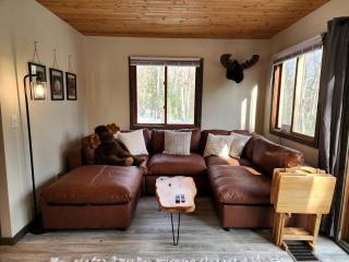 Secluded Luxury Cabin with Hot Tub on 10 Private Acres near Trails in Reed City, Michigan - 9