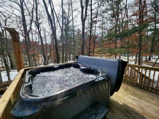 Secluded Luxury Cabin with Hot Tub on 10 Private Acres near Trails in Reed City, Michigan - 6