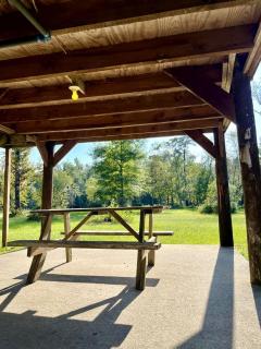 Verdant Rustic Cabin Retreat Near Chipola River, Florida - Wewahitchka - 0