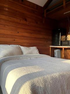 Verdant Rustic Cabin Retreat Near Chipola River, Florida - Wewahitchka - 9