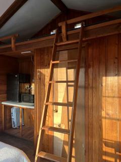 Verdant Rustic Cabin Retreat Near Chipola River, Florida - Wewahitchka - 3