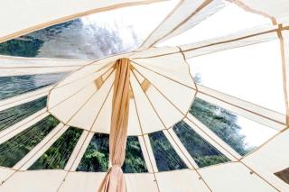 Radiant Stargazing Bell Tent Oasis Near Sinking Creek, Missouri - 9