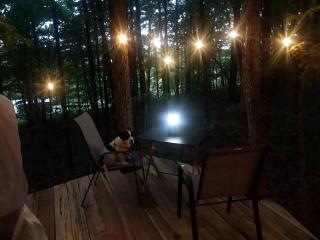 Whimsical Forest Safari Tent Haven Near Laurel Creek, Tennessee - 5