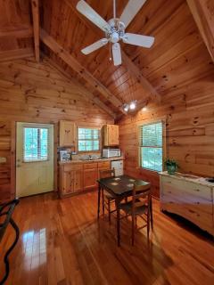Blissful Riverside Cabin Escape Near New River, Virginia - 5