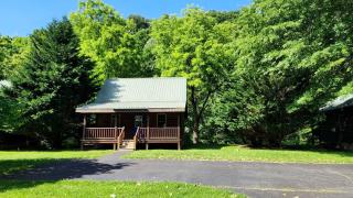 Nostalgic Riverside Cabin Haven Near New River, Virginia - Galax - 8