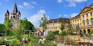 Studio la cour du botaniste - 8