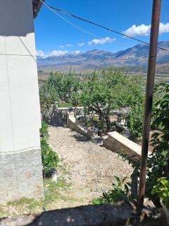 Arpet guesthouse - Gjirokastër - 9