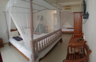 Paradise Beach Resort & Diving school - Mirissa - 7