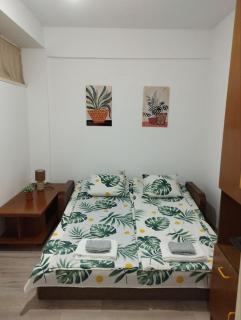 Apartment VNJ #3 in Ohrid - 1