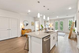 Luxury 3-BR Apartment - Austin - 9