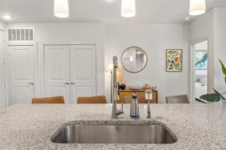 Luxury 3-BR Apartment - Austin - 5