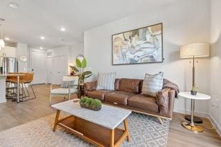 Luxury 3-BR Apartment - 6