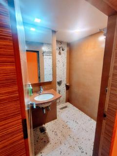 Hotel The Apex,Jaipur - 1