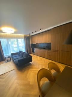 Two bedroom LUXURIOUS Spacios Apartment - Vilnius - 1