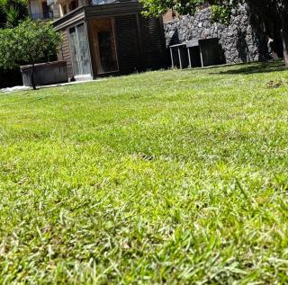 Ognissanti Rooms - 8