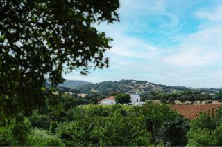 Alojamentos Plansel - No Coração das Vinhas do Alentejo - 1