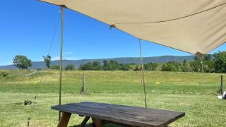 Glamping tent on farm Mountain views - 1