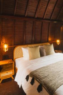 Savanna Ubud - Ubud - 5