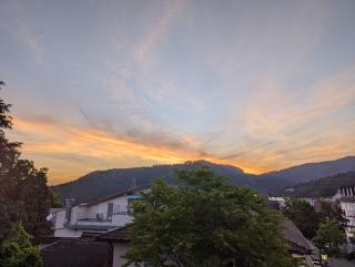 Park Appartements - Badenweiler - 4