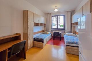 Dizzy Daisy Hostel - 5