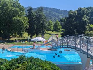Park Appartements - Badenweiler - 5