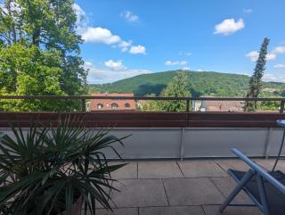 Park Appartements - Badenweiler - 9