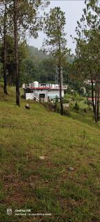 Carter and Victoria's dream home - Rānīkhet - 5
