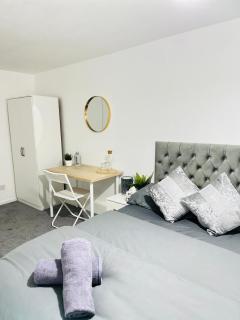 Spacious Private Rooms Near Central London - London - 7
