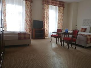 Pałac Brunów - Wellness & SPA - 5