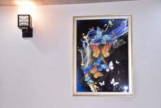 Inder Homestay Kasuali - Kasauli - 7