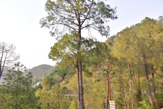 Summer Imperial Crest Hotels - 1