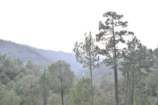 The Toy Train View 3BHK Villa With Pvt Balcony - 9