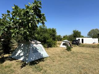 Greenfield campsite - 0