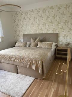 Neue Ferienwohnung mit Terrasse - Guteborn - 5