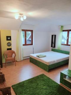 Vila Vlad - 0