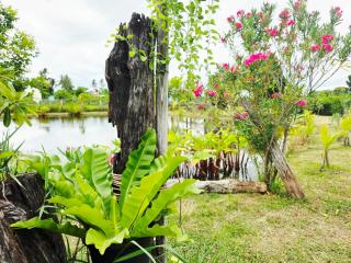 บ้านสวนโฮมสเตย์ - Buri Ram - 3