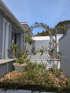 Charming Studio with Garden Patio in Tamboerskloof - Cape Town - 8