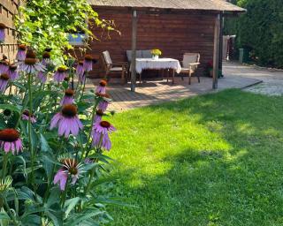 Domek Młodości z ogrodem - Augustów - 7