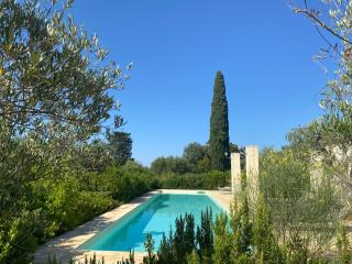 Ulivo - Monopoli - 9