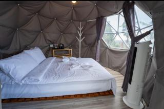 Damar Valley Glamping - - 3
