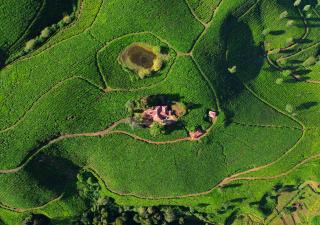 Arivikad Tea Bungalow Munnar By VOYE HOMES - 9