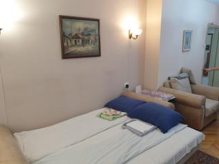 Spacious apartment in the center of Belgrade - Belgrade - 2