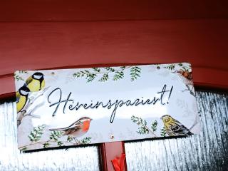 Finnhütte Hohe Klinge Trusetal - Brotterode - 9