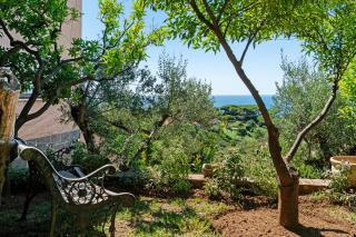 Lemon Green - Celle Ligure - 7