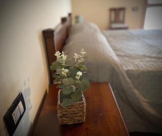 Agriturismo La Bisa - 7