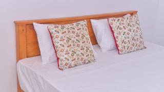 The Misty in Dambulla - 4